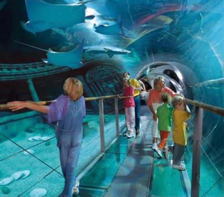 Disney Cocooning A 5 Minutes Du Parc Coupvray Exteriör bild